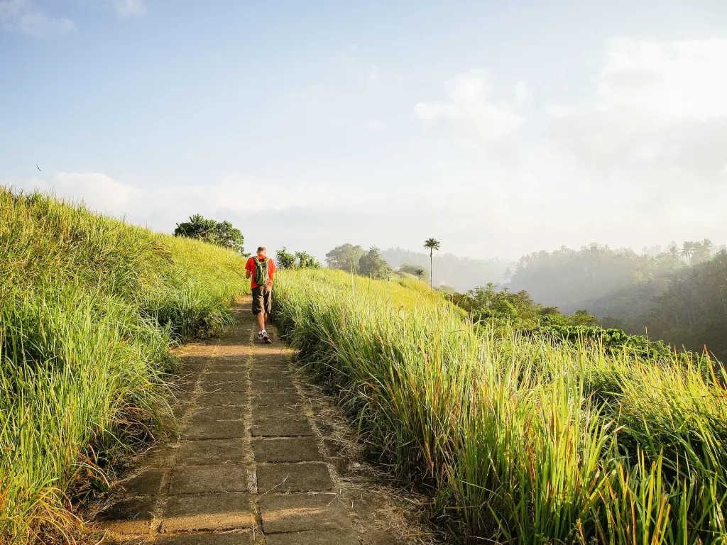 Ubud culture