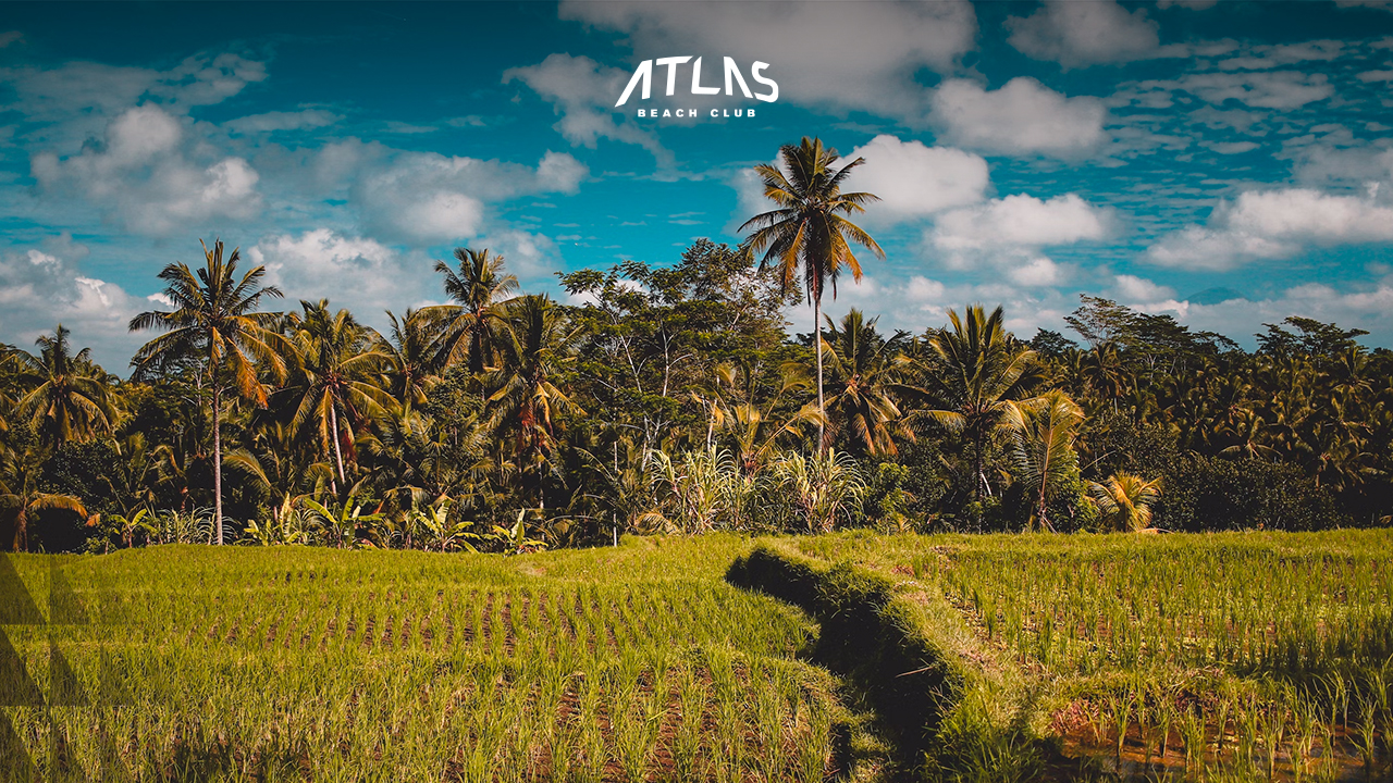 bali weather , ubud bali weather , bali weather seminyak